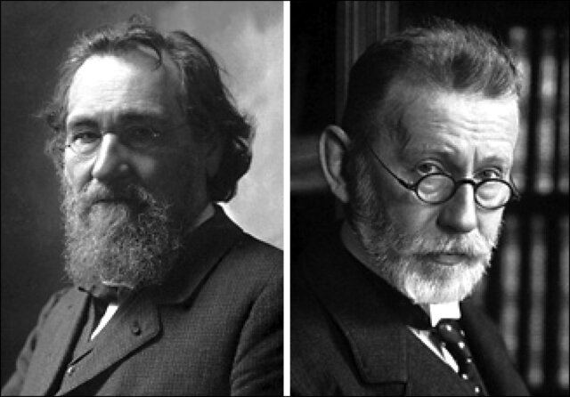 Función de la fagocitosis y las antitoxinas  en la inmunidad