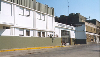 Pico de Crecimiento en la Empresa