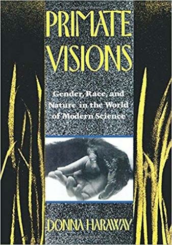 "Primate Visions"