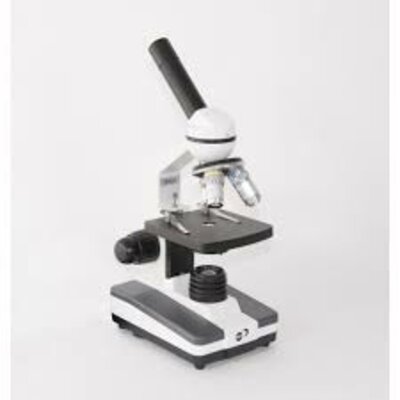 Timeline: Evolución del microscopio