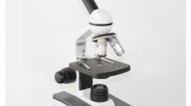 Timeline: Evolución del microscopio