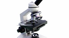 Timeline: EVOLUCIÓN DEL MICROSCOPIO