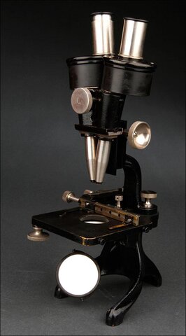 Microscopio 1902