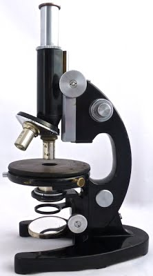 Microscopio 1937