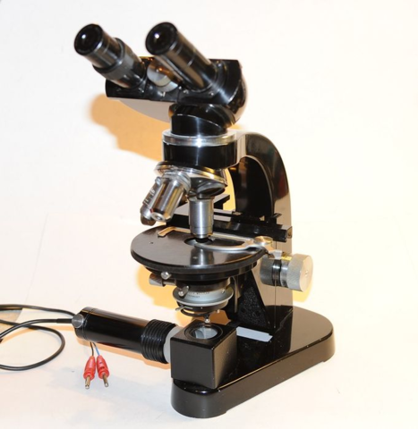 Microscopio 1955