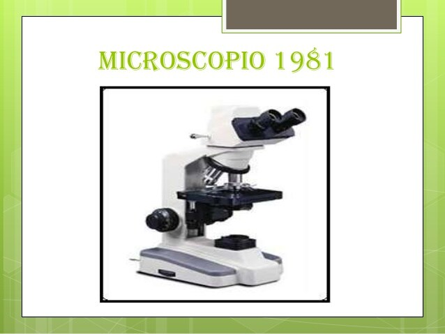 Microscopio 1981