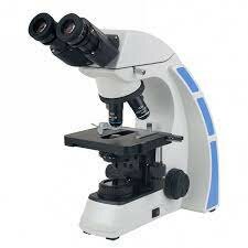 Microscopio binocular