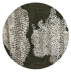 La primera observacion de células