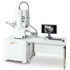 Microscopio electronico