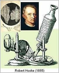 Robert Hooke