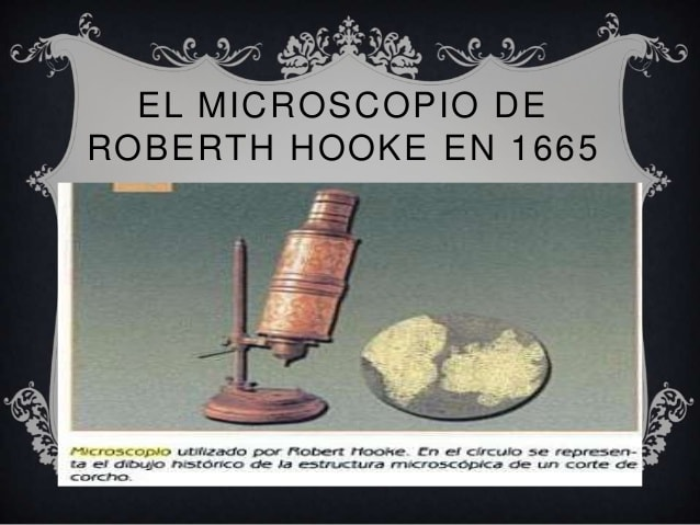 Microscopio 1665