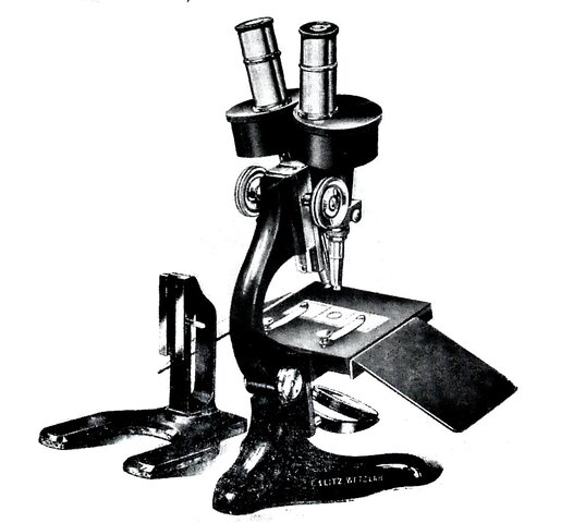 El primer microscopio binocular