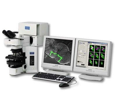 MICROSCOPIO CONFOCAL