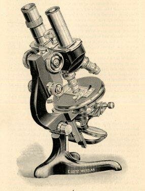 El primer microscopio binocular