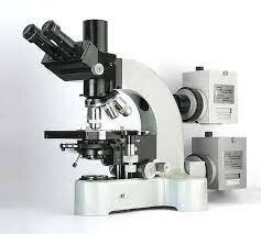 Microscopio binocular