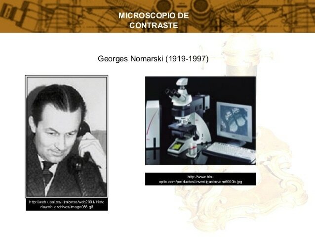 Microscopía de contraste de interferencia diferencial