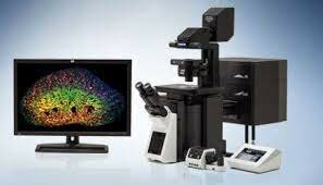 El primer microscopio con focal láser de barrido
