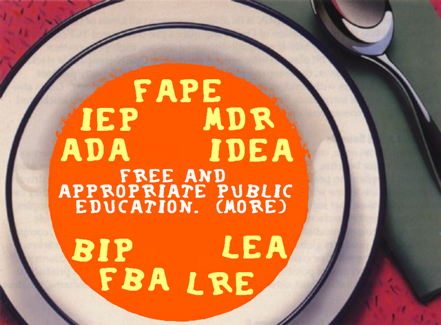 Free and Appropriate Public Education (FAPE)
