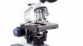 Timeline: Evolución del microscopio