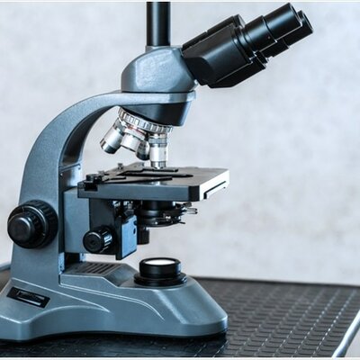 Timeline: El Microscopio