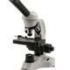 Microscopio optika b 20c serie ecovision 400x monocular 800x800