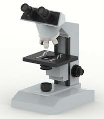 MICROSCOPIO BINOCULAR