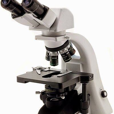 Timeline: El Microscopio