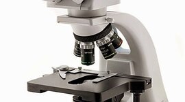 Timeline: El Microscopio