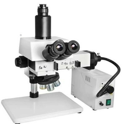La microscopía de contraste de interferencia diferencial