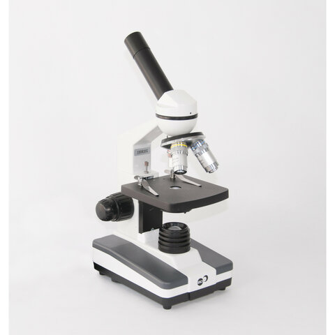 Ultimo microscopio
