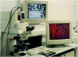 Patencia del microscopio confocal