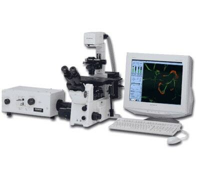 MICROSCOPIO CONFOCAL