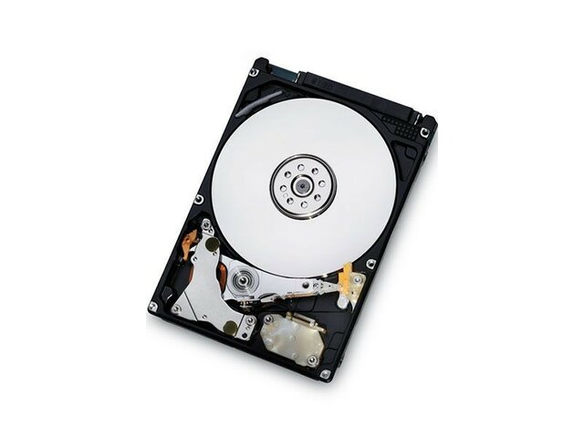 Deskstar 1TB Hard Disk Drive (HDD)
