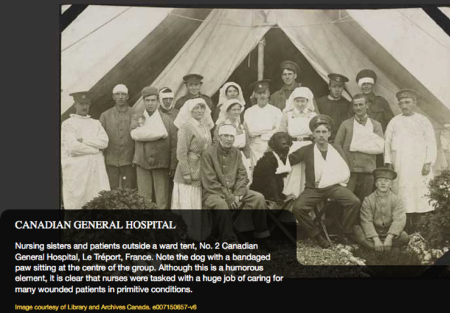 Women's Role during the War - Progress +1