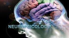 Timeline: NEUROPSICOLOGIA (Origen y Desarrollo)