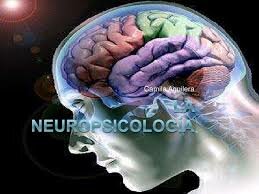 Nacimiento de la Neuropsicología
