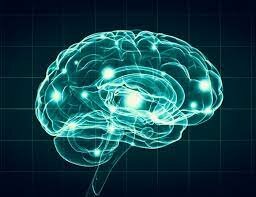 NEUROPSICOLOGIA