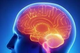 Teoría del Campo Agregado