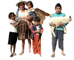 Servicio Social Rural