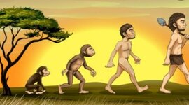Timeline: ETAPAS DE LA EVOLUCIÓN DEL SER HUMANO