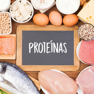 Timeline: Las proteínas