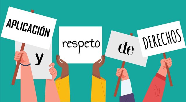 REFORMA DE 2011