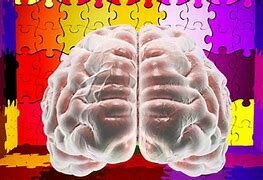 Neurodesarrollo general