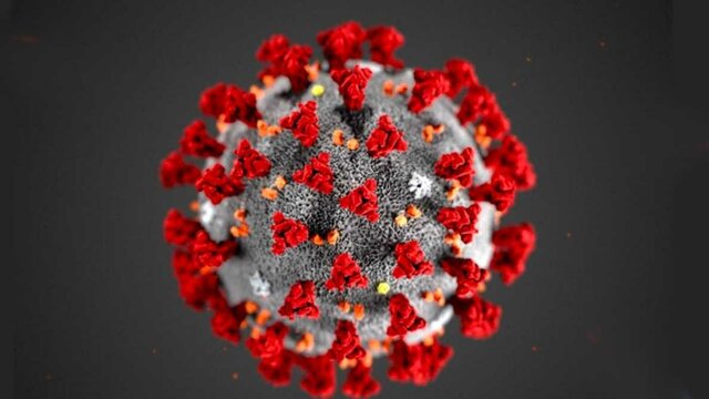 Inmunología en la actualidad