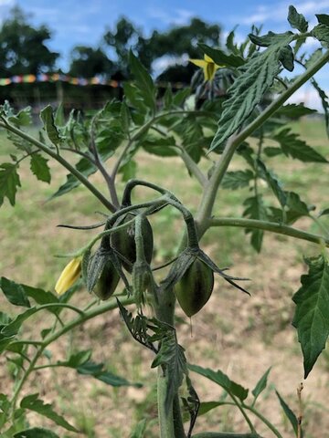 Why Philosophy of Biology?