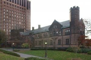 Metaphor Shaping Experimental Biology