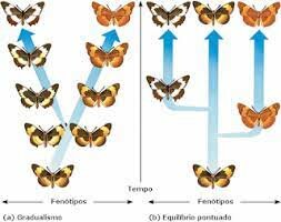 Teoría gradualista o Gradualismo