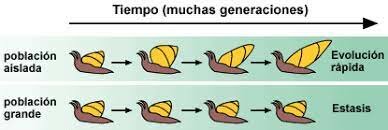 Teoría del equilibrio puntual