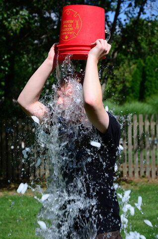 ALS Challenge