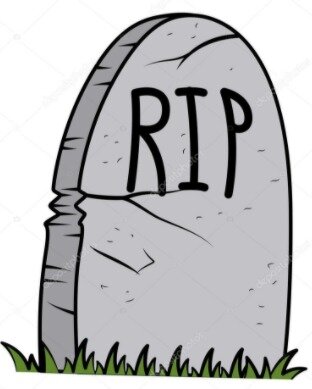 What happened to your dog?